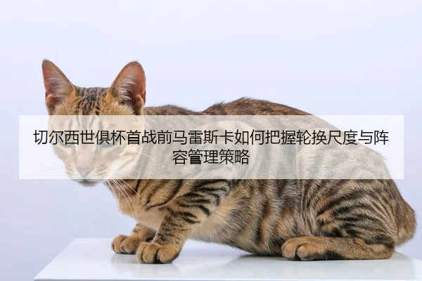 qie-er-xi-shi-ju-bei-shou-zhan-qian-ma-lei-si-ka-ru-he-ba-wo-lun-huan-chi-du-yu-zhen-rong-guan-li-ce-lve-2-829.jpg